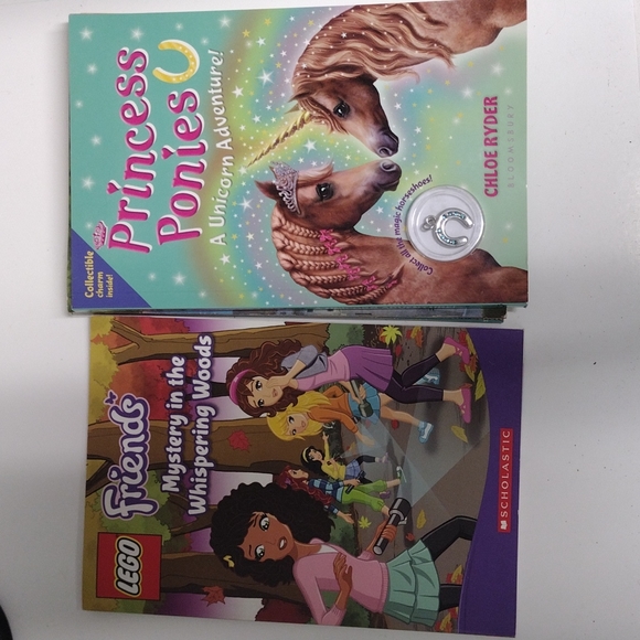 Books Magic Treehouse, Lego Friends and Princess ponies - Picture 4 of 4